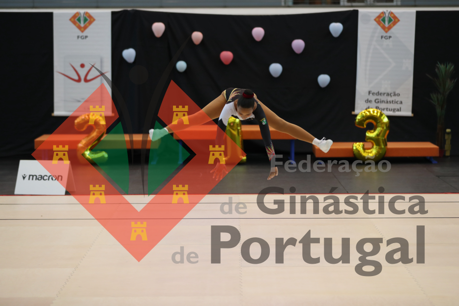 1033_Taça de Portugal AER